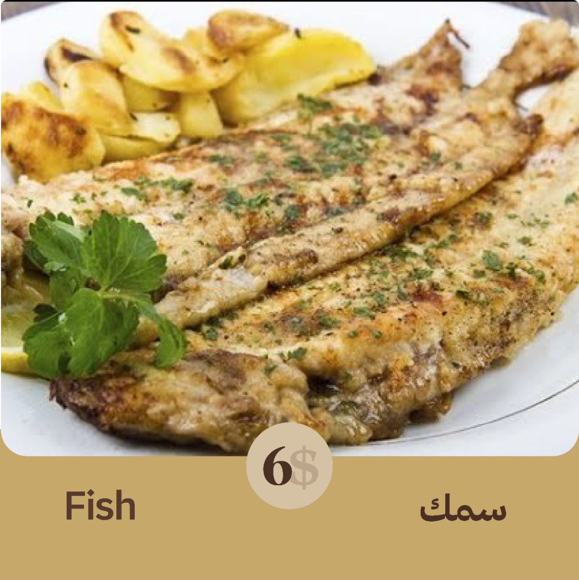 Fish